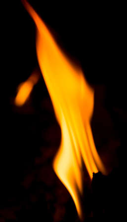 Breaking the Chains of Debt: The Inspirational FIRE Journey of a Millennial Entrepreneur