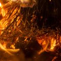 The Different Types of FIRE: LeanFIRE, FatFIRE, BaristaFIRE, and CoastFIRE Explained