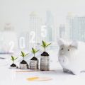 How Market Volatility Affects Safe Withdrawal Rates During Early Retirement