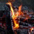 The Origins and Philosophy of the FIRE Movement: How It Started and Why It Matters