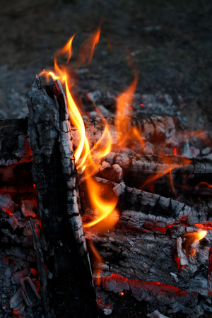 The Origins and Philosophy of the FIRE Movement: How It Started and Why It Matters