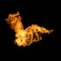 Rewiring Your Mindset: Cultivating Abundance on the Path to FIRE