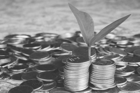 401(k)s, IRAs, and Roth IRAs: Retirement Investing for Beginners with Small Budgets