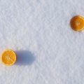 Credit Card Debt in the U.S.: Using Snowball and Avalanche Methods to Break Free