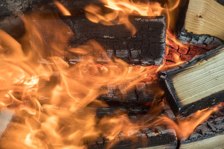 FIRE Misconceptions: Debunking the Most Common Myths
