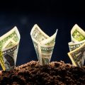 Renting vs. Owning: Housing Decisions for the Extreme Frugalist in Today’s Market