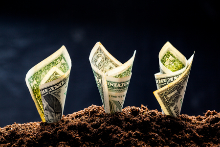 Renting vs. Owning: Housing Decisions for the Extreme Frugalist in Today’s Market