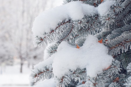 Holiday Savings for Snowbirds: Smart Planning for Seasonal Travel